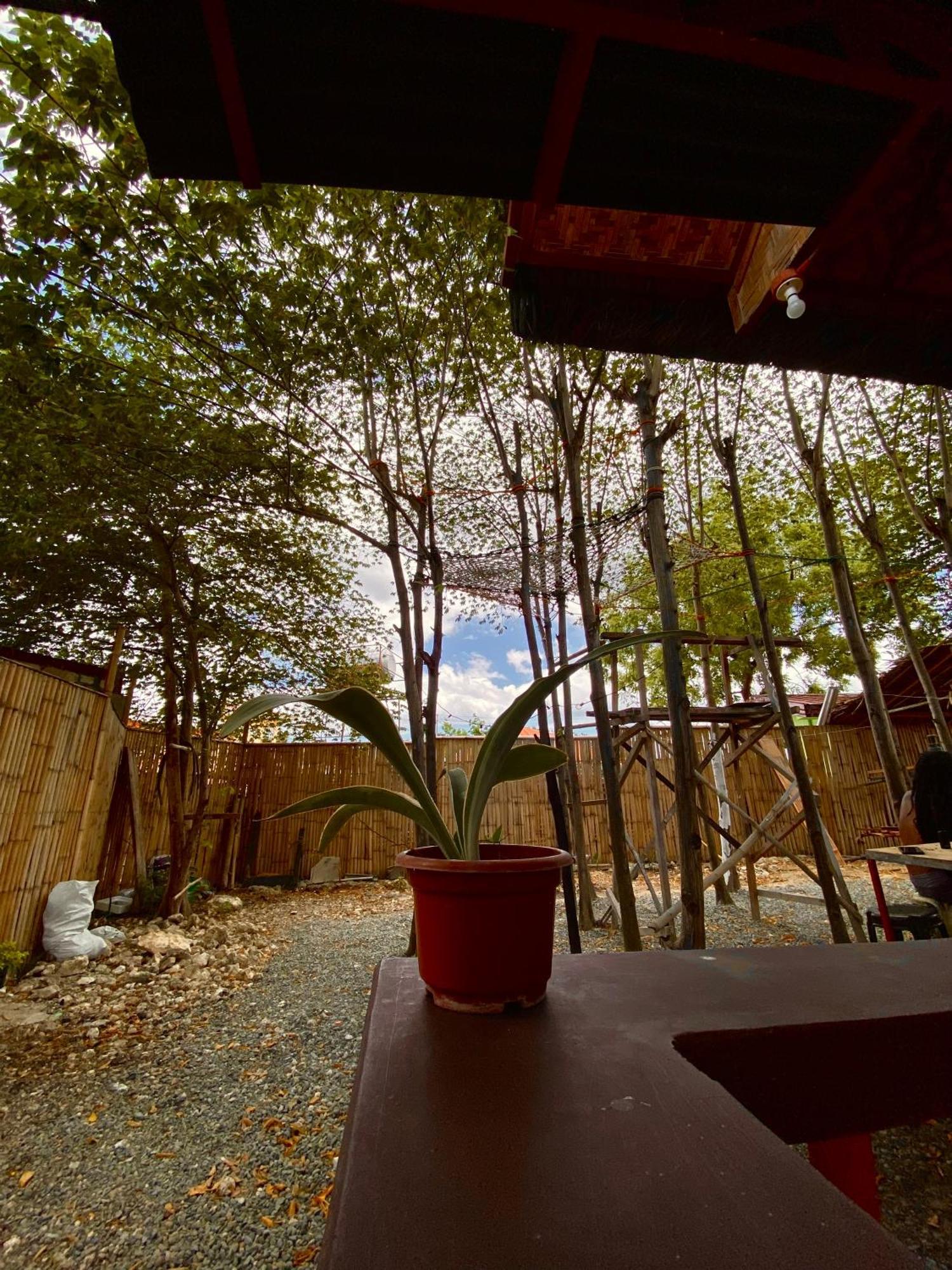 Moalboal Panagsama Beach Topbudz Hostel מואלבואל מראה חיצוני תמונה